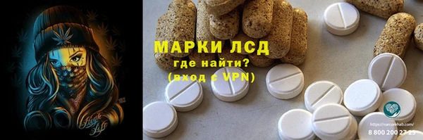 стафф Арсеньев