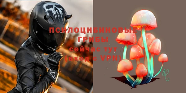 стафф Арсеньев