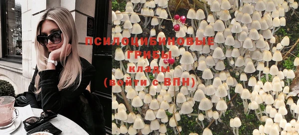 стафф Арсеньев