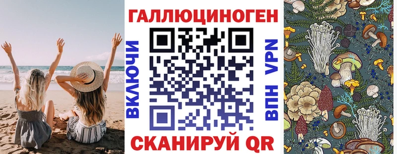 Галлюциногенные грибы Magic Shrooms  Купить  Солигалич 